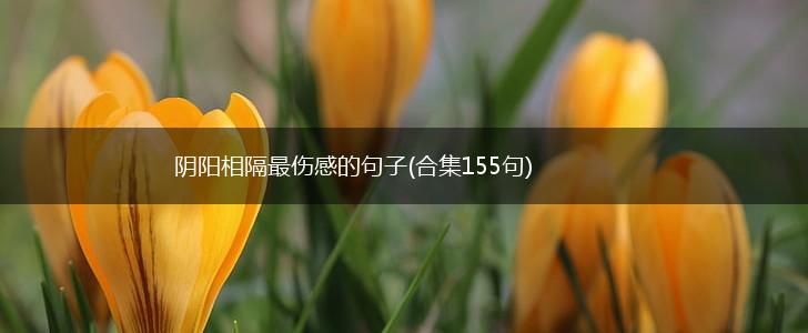 阴阳相隔最伤感的句子(合集155句),第1张