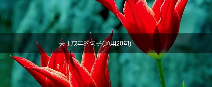 关于成年的句子(通用20句),第1张