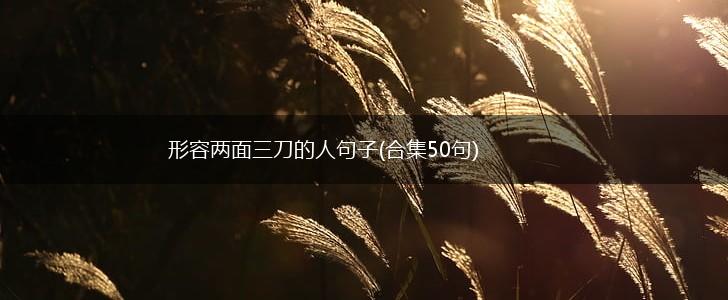 形容两面三刀的人句子(合集50句),第1张