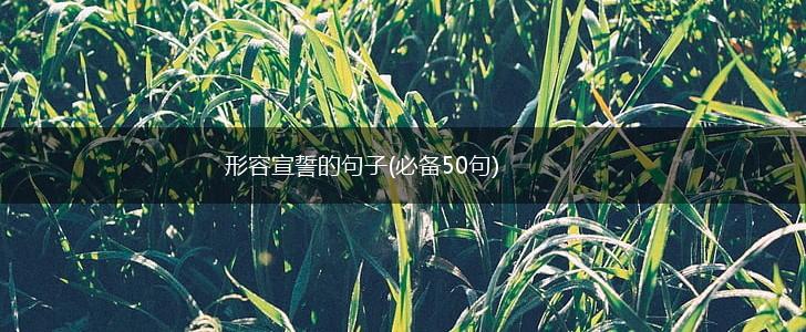 形容宣誓的句子(必备50句),第1张 形容宣誓的句子(必备50句),第1张