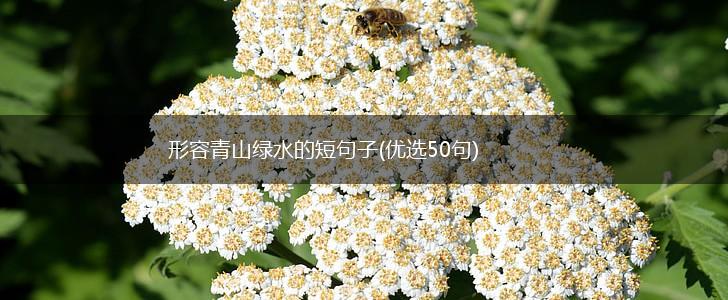 形容青山绿水的短句子(优选50句),第1张