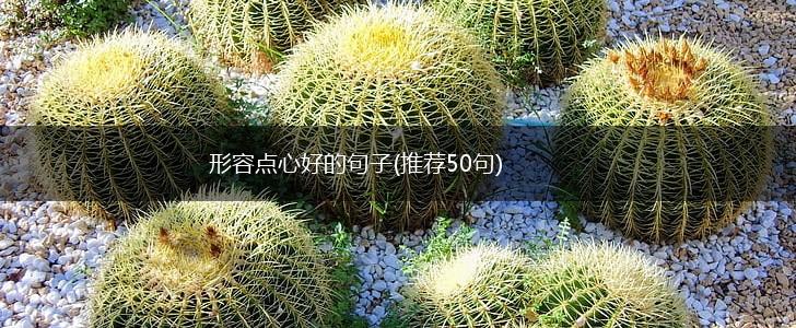 形容点心好的句子(推荐50句),第1张