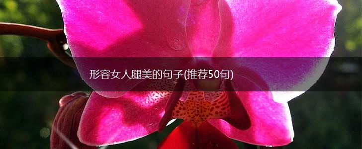 形容女人腿美的句子(推荐50句),第1张