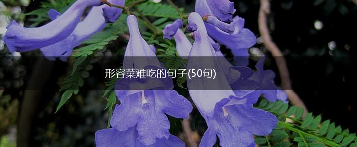 形容菜难吃的句子(50句),第1张