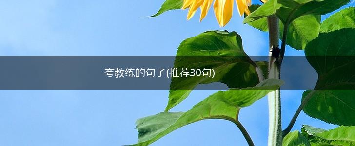 夸教练的句子(推荐30句),第1张