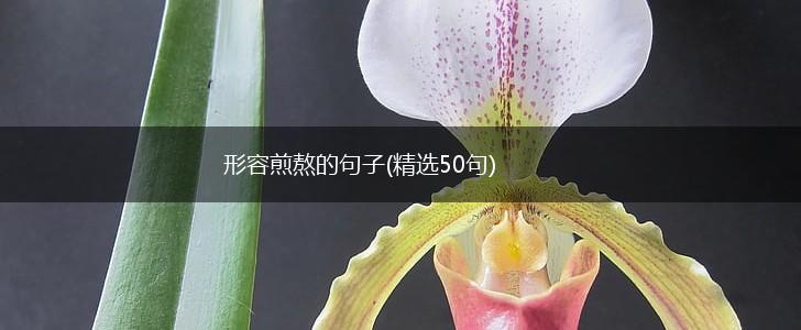 形容煎熬的句子(精选50句),第1张 形容煎熬的句子(精选50句),第1张