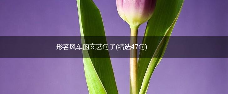 形容风车的文艺句子(精选47句),第1张