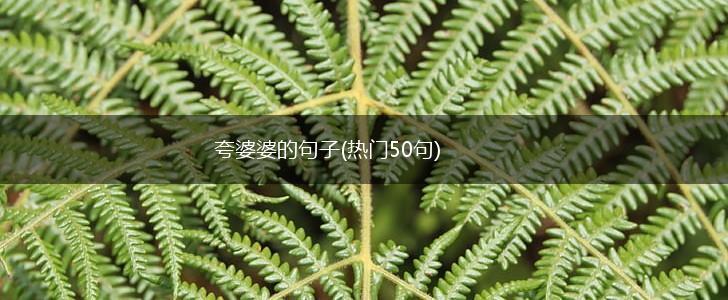 夸婆婆的句子(热门50句),第1张