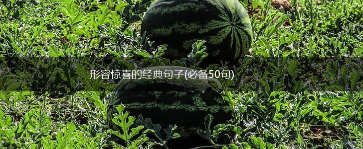 形容惊喜的经典句子(必备50句),第1张