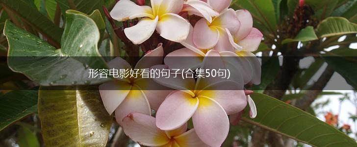 形容电影好看的句子(合集50句),第1张