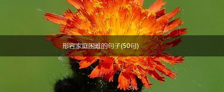形容家庭困难的句子(50句),第1张