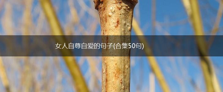 女人自尊自爱的句子(合集50句),第1张