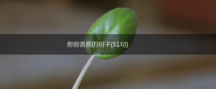 形容香蕉的句子(51句),第1张