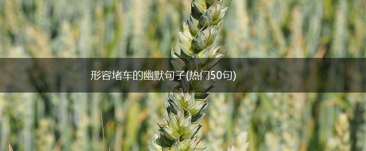 形容堵车的幽默句子(热门50句),第1张