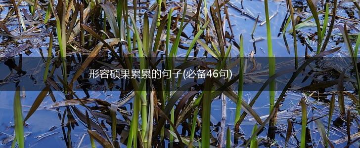 形容硕果累累的句子(必备46句),第1张