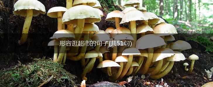 形容逛超市的句子(共51句),第1张