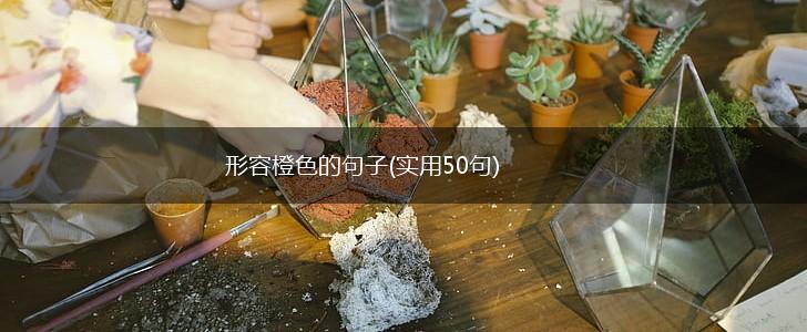 形容橙色的句子(实用50句),第1张
