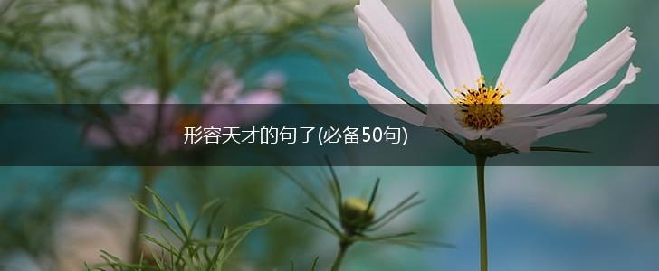 形容天才的句子(必备50句),第1张
