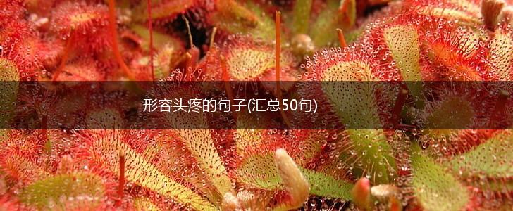 形容头疼的句子(汇总50句),第1张