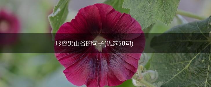 形容黑山谷的句子(优选50句),第1张