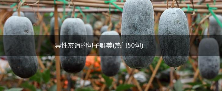 异性友谊的句子唯美(热门50句),第1张