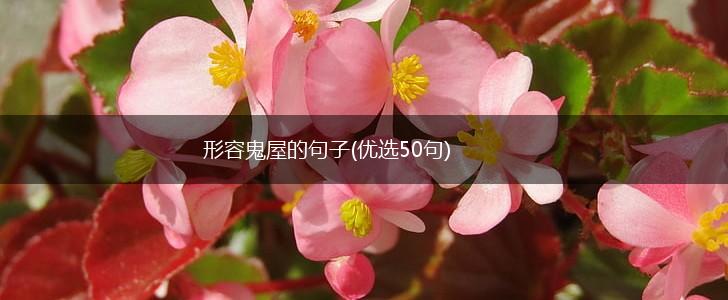 形容鬼屋的句子(优选50句),第1张