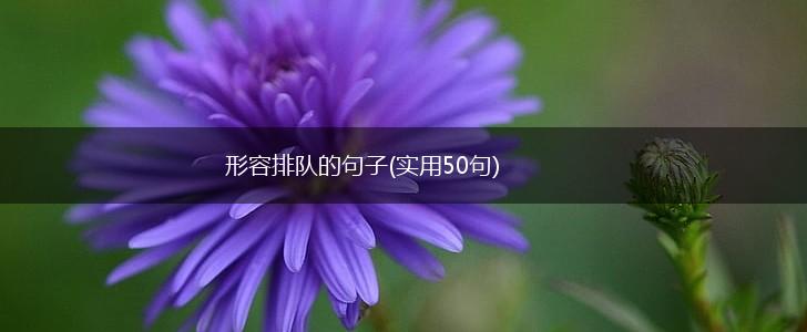 形容排队的句子(实用50句),第1张