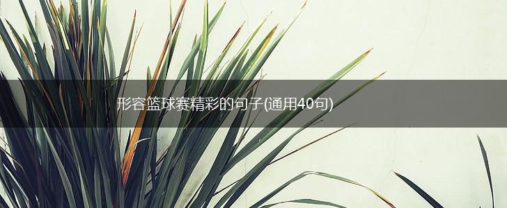 形容篮球赛精彩的句子(通用40句),第1张