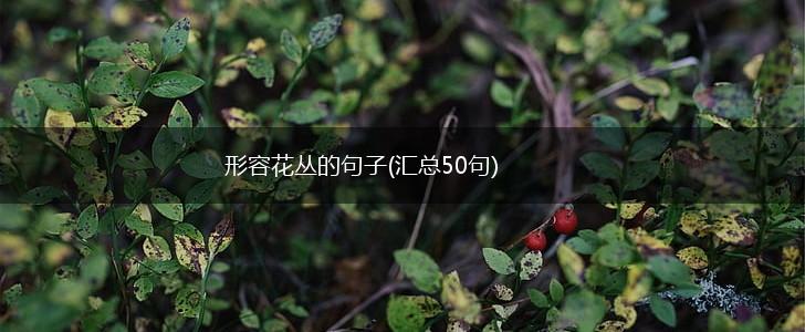 形容花丛的句子(汇总50句),第1张