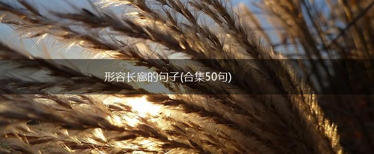 形容长廊的句子(合集50句),第1张