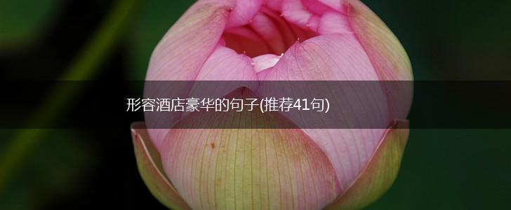 形容酒店豪华的句子(推荐41句),第1张