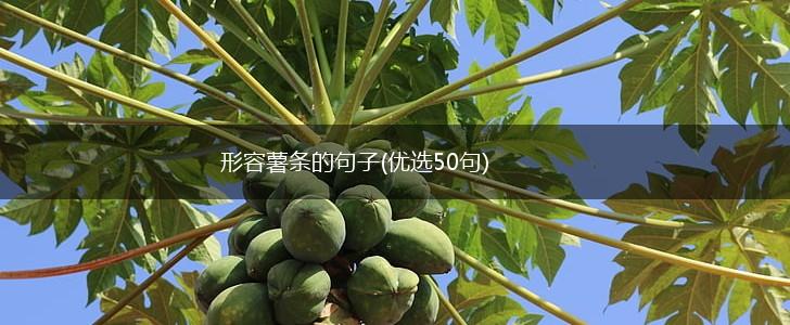 形容薯条的句子(优选50句),第1张
