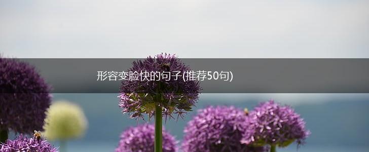 形容变脸快的句子(推荐50句),第1张