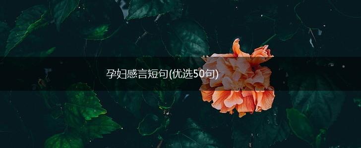 孕妇感言短句(优选50句),第1张