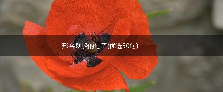 形容划船的句子(优选50句),第1张