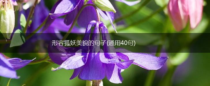 形容狐妖美貌的句子(通用40句),第1张