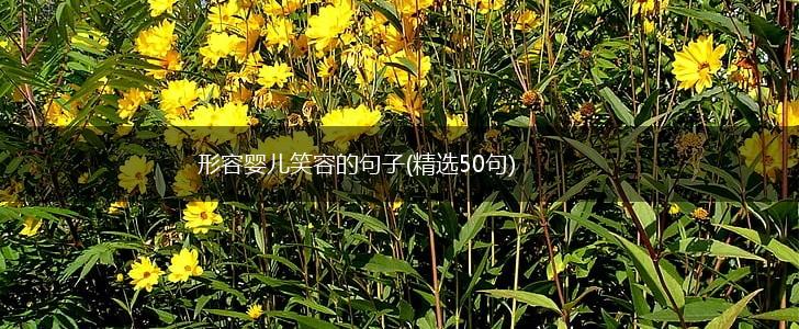 形容婴儿笑容的句子(精选50句),第1张