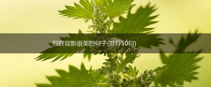 形容背影很美的句子(推荐50句),第1张