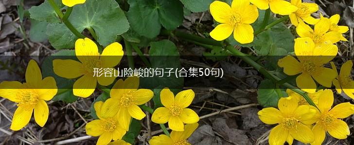 形容山险峻的句子(合集50句),第1张