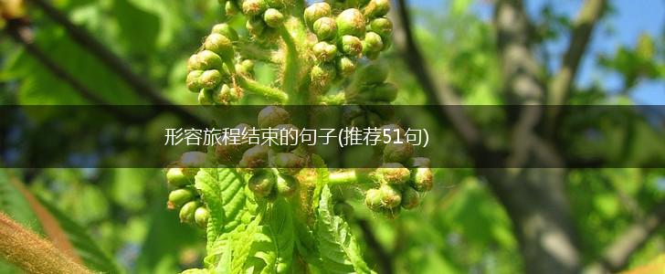 形容旅程结束的句子(推荐51句),第1张