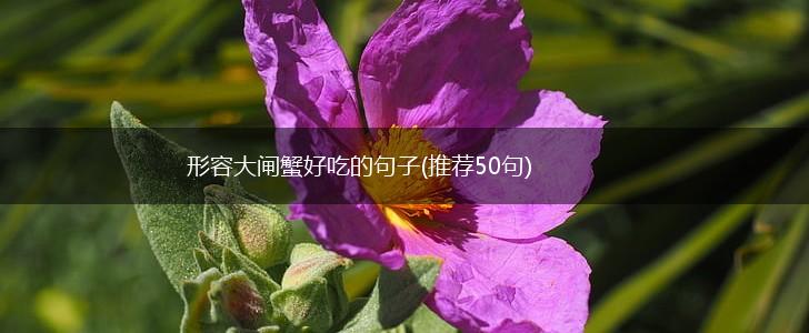 形容大闸蟹好吃的句子(推荐50句),第1张