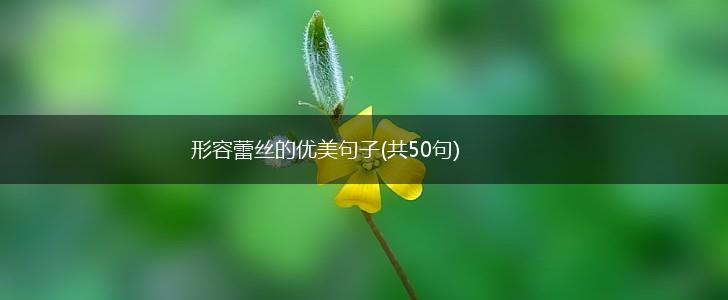 形容蕾丝的优美句子(共50句),第1张