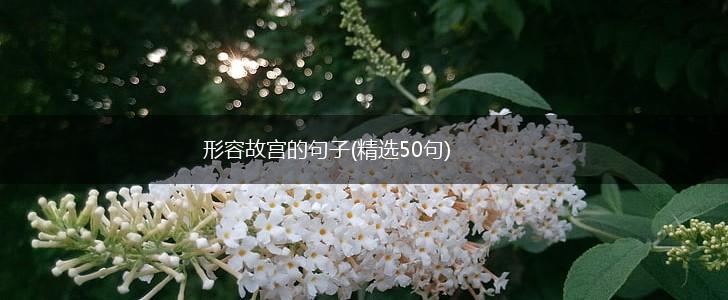 形容故宫的句子(精选50句),第1张