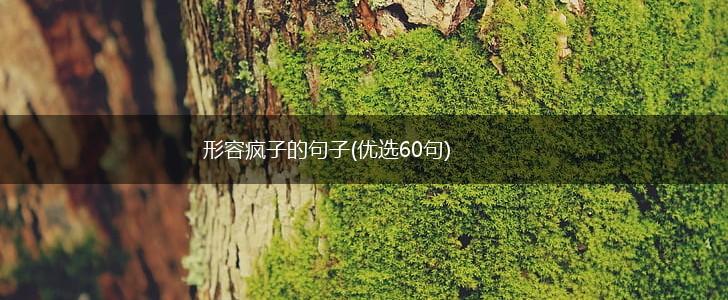 形容疯子的句子(优选60句),第1张