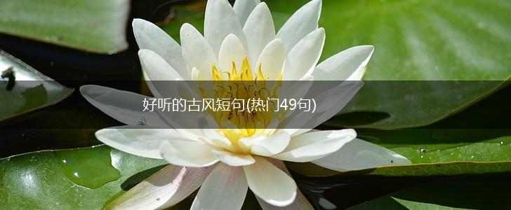 好听的古风短句(热门49句),第1张