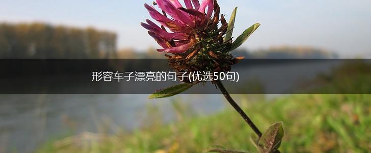 形容车子漂亮的句子(优选50句),第1张