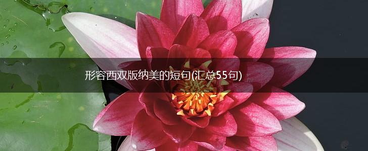 形容西双版纳美的短句(汇总55句),第1张
