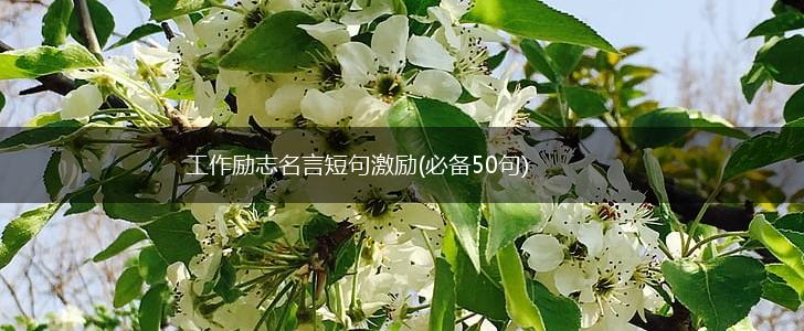 工作励志名言短句激励(必备50句),第1张