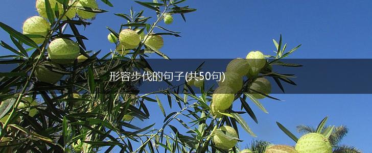 形容步伐的句子(共50句),第1张