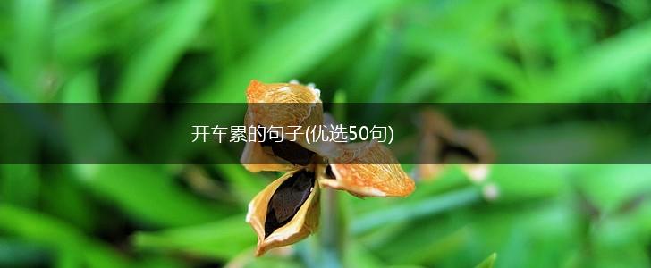 开车累的句子(优选50句),第1张